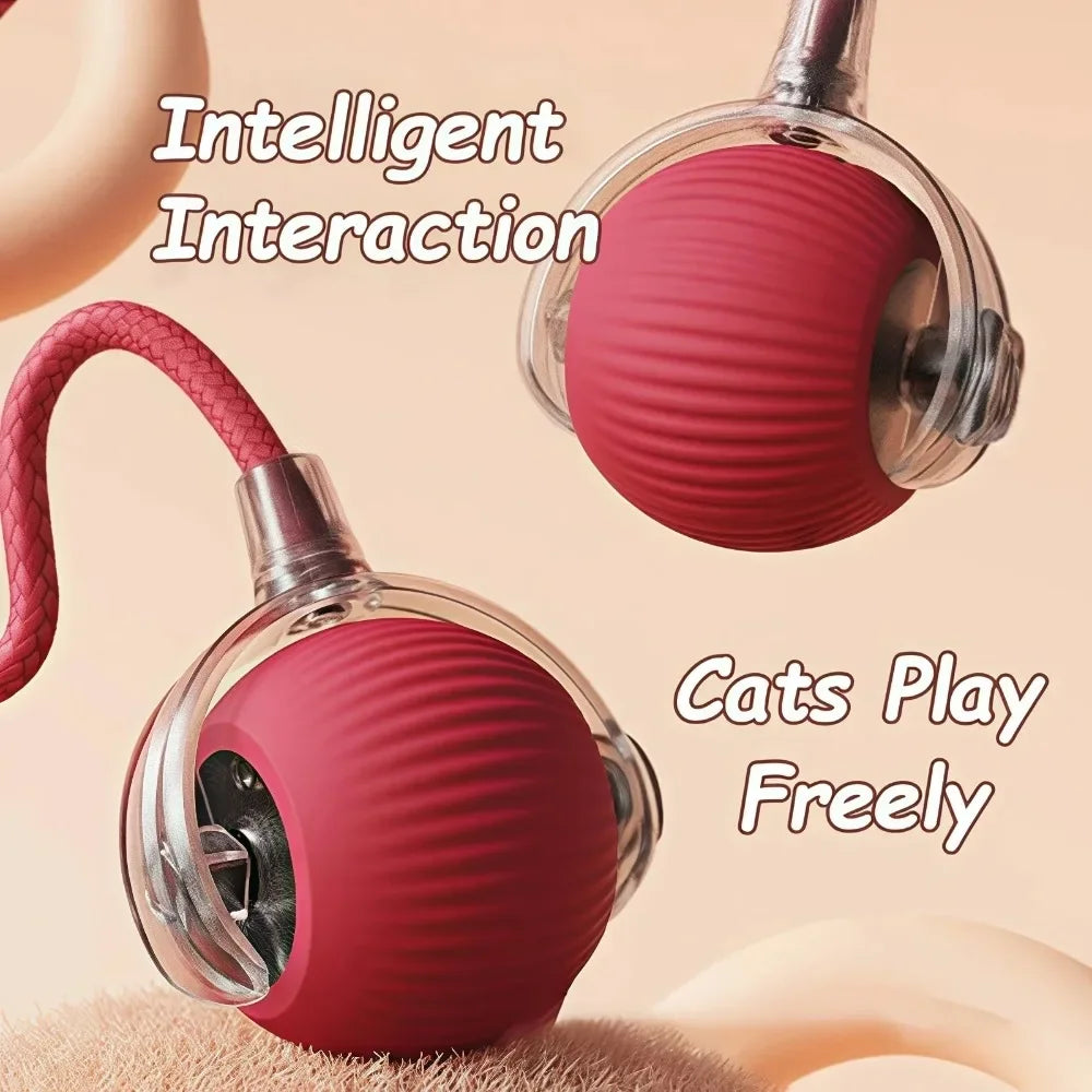 Interactive Ball Toy for Cats