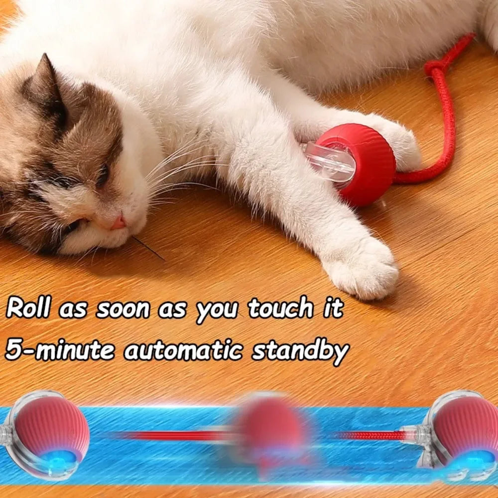 Pelota Interactiva Automática para Gatos con Pluma - USB Recargable
