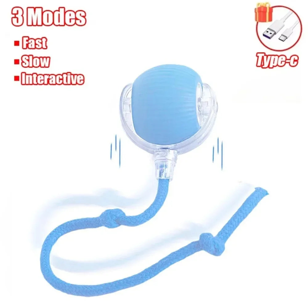 Interactive Ball Toy for Cats