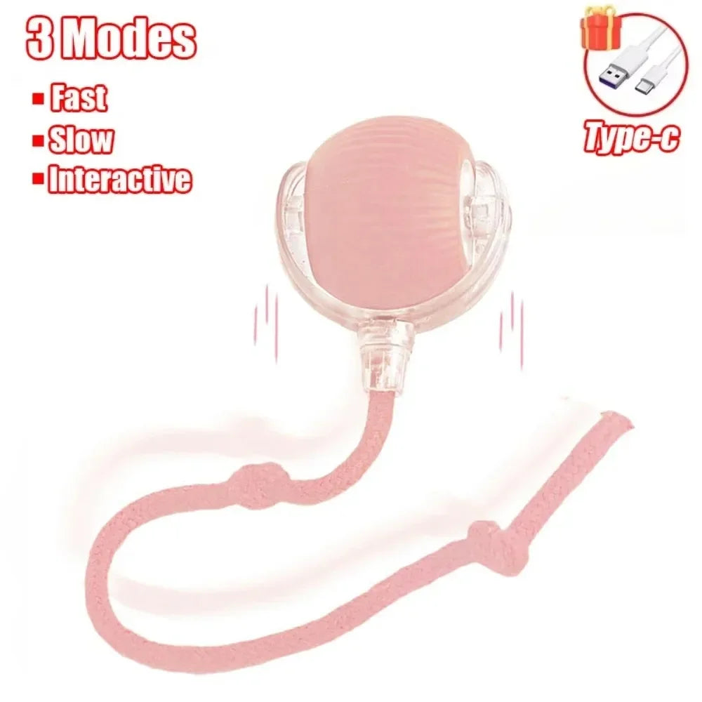 Interactive Ball Toy for Cats