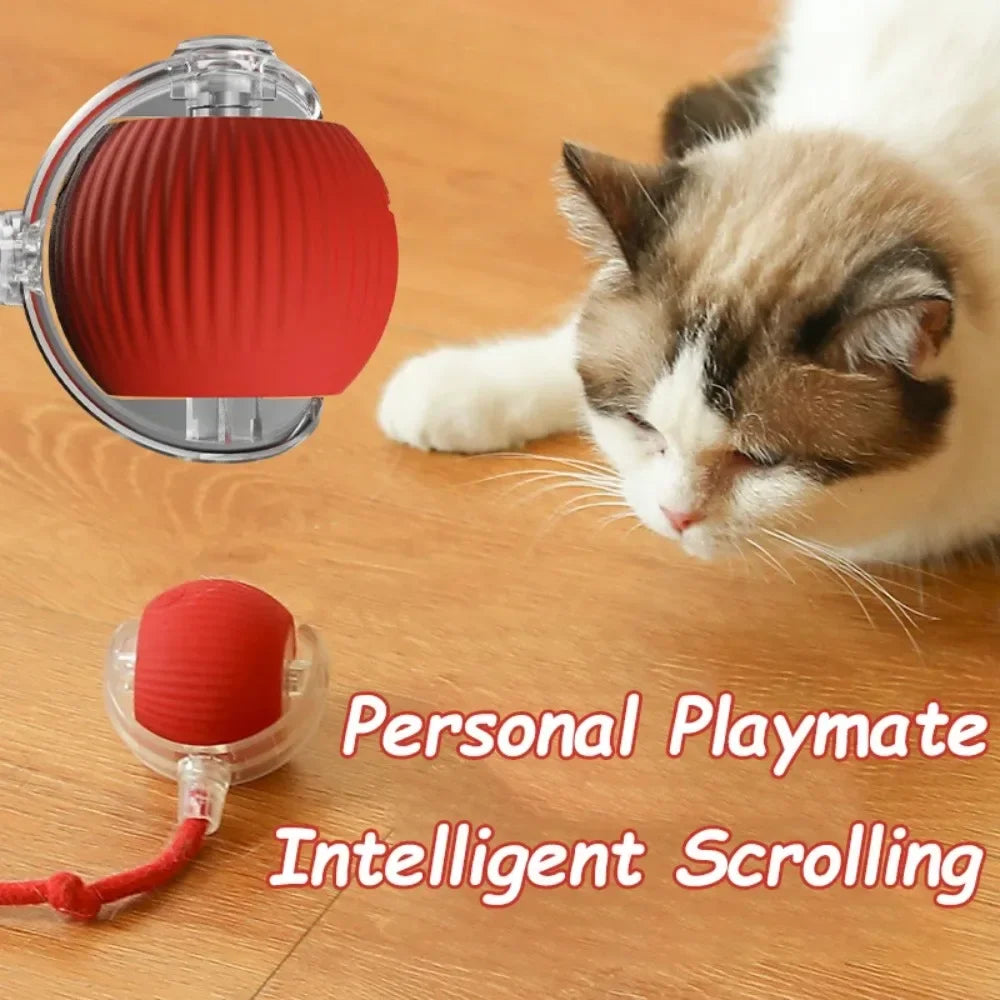 Interactive Ball Toy for Cats