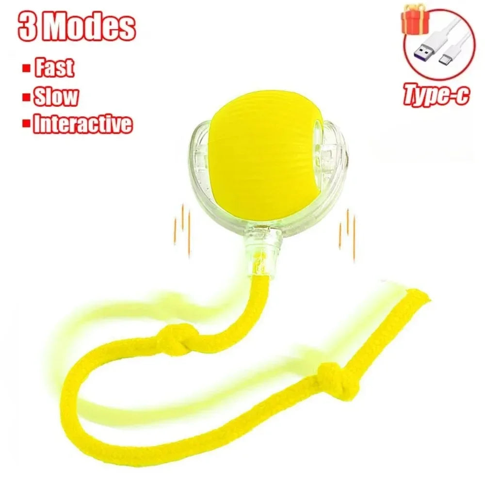 Interactive Ball Toy for Cats